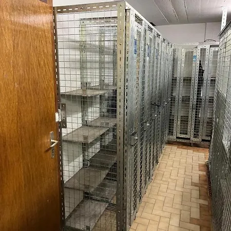 Cosy For 4 Near Lift, Hameau C13 Διαμέρισμα Les Collons